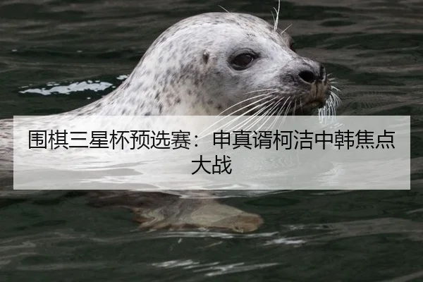 围棋三星杯预选赛：申真谞柯洁中韩焦点大战