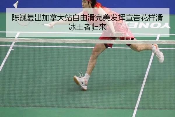 chen-wei-fu-chu-jia-na-da-zhan-zi-you-hua-wan-mei-fa-hui-xuan-gao-hua-yang-hua-bing-wang-zhe-gui-lai-2-531.jpg