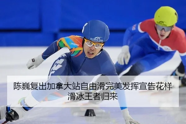 chen-wei-fu-chu-jia-na-da-zhan-zi-you-hua-wan-mei-fa-hui-xuan-gao-hua-yang-hua-bing-wang-zhe-gui-lai-3-835.jpg