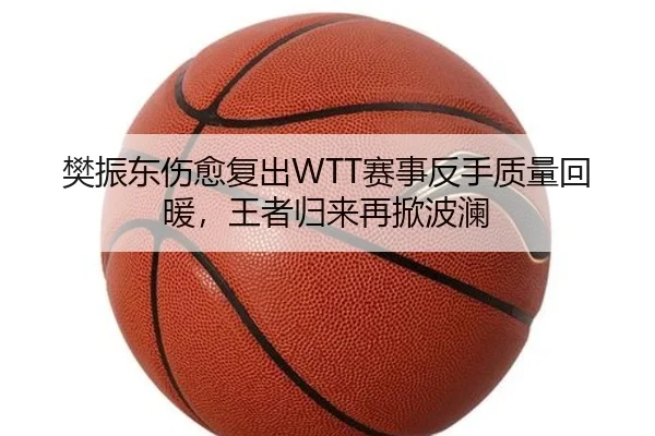 樊振东伤愈复出WTT赛事反手质量回暖，王者归来再掀波澜 - 6686.com