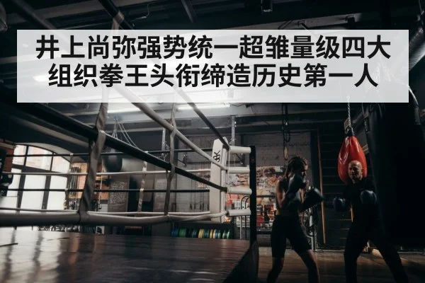 boxer training