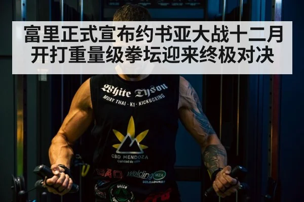 富里正式宣布约书亚大战十二月开打重量级拳坛迎来终极对决 | 6686.com